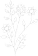 shape-image